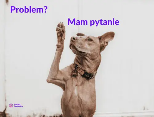 Rozwiązywanie problemów - prosta 5 krokowa metoda