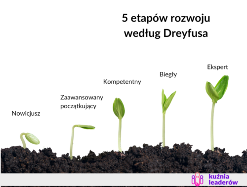 5 etapów rozwoju według Dreyfusa