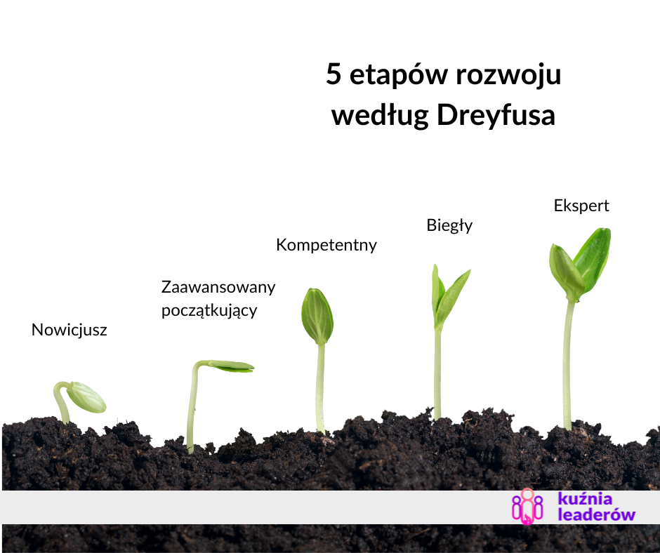 5 etapów rozwoju według Dreyfusa